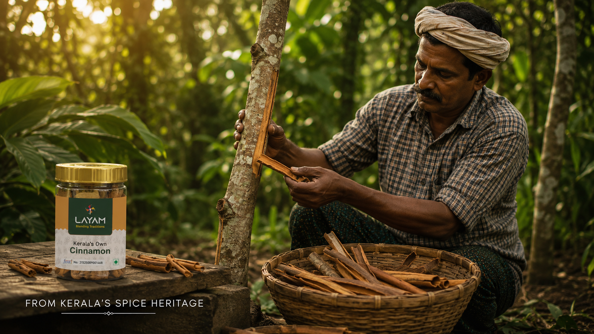A farmer peeling cinnamon bark from the tree in Kerala, with a basket of quills and the LAYAM jar alongside
