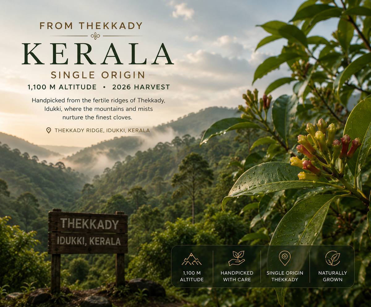Thekkady, Idukki, Kerala at 1,100 m altitude where LAYAM cloves are grown, with clove buds on the branch