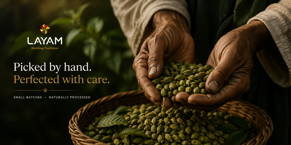 Picked by hand, perfected with care - a farmer's cupped hands full of green cardamom pods over a basket