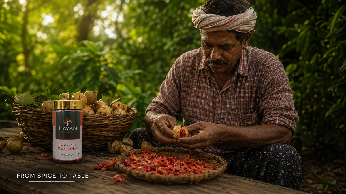 A farmer separating mace from nutmeg fruit by hand in Kerala, with the LAYAM jar alongside
