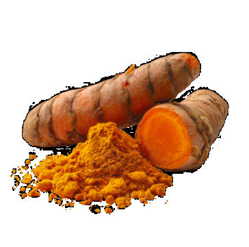 Turmeric root and powder