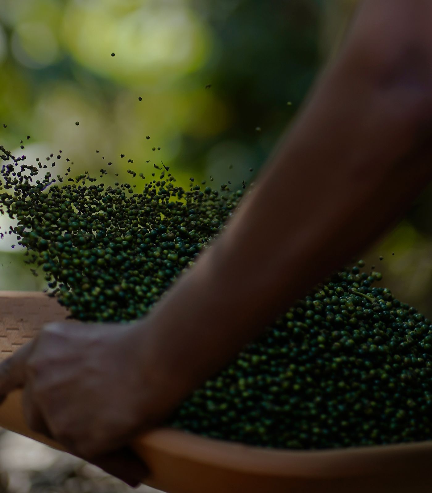From Our Farms to Your Kitchen