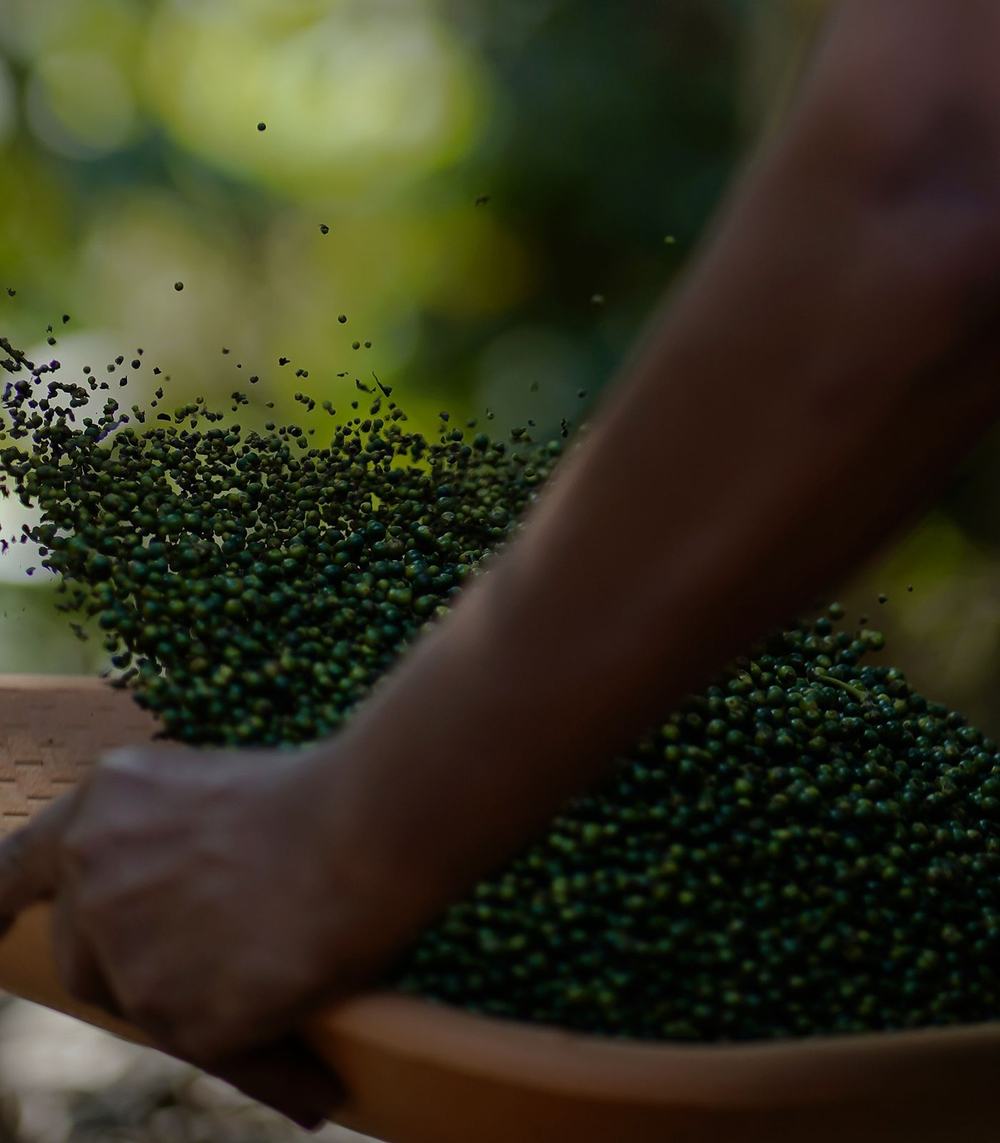From Our Farms to Your Kitchen